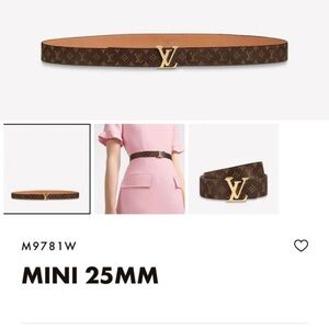 Louis Vuitton Gold and Brown Monogram Belt